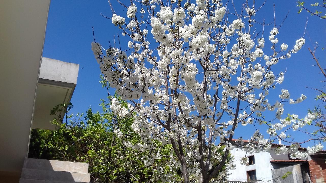 Apartments Vladimir Agios Nikolaos  Exterior foto